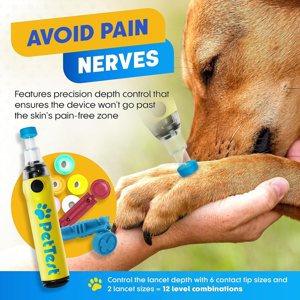 PetTest Genteel Pet Blood Sugar Monitoring