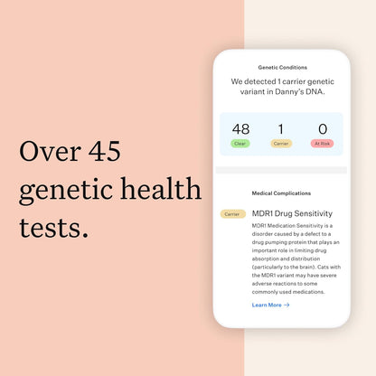 Wisdom Panel Complete: Comprehensive Cat DNA Test kit
