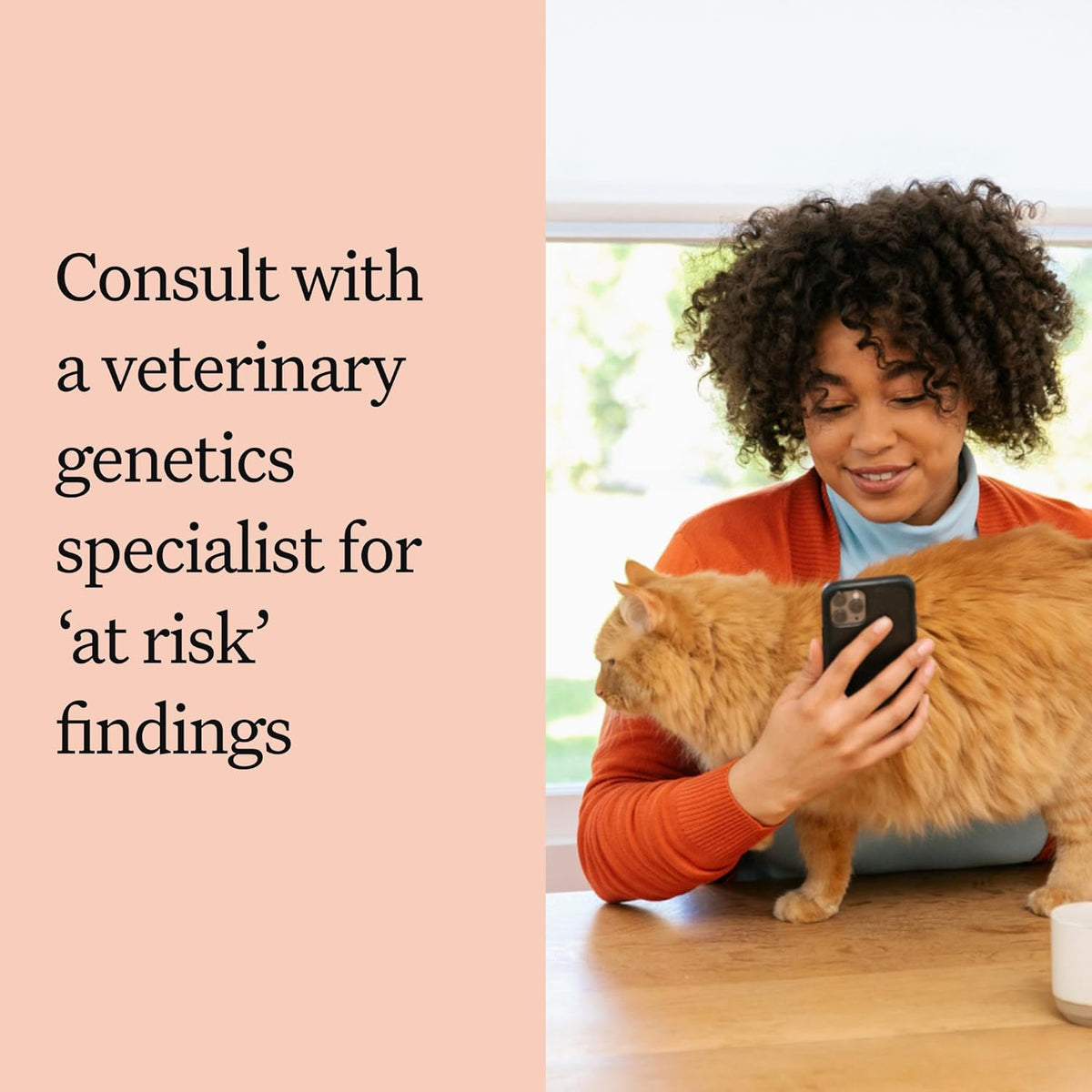 Wisdom Panel Complete: Comprehensive Cat DNA Test kit