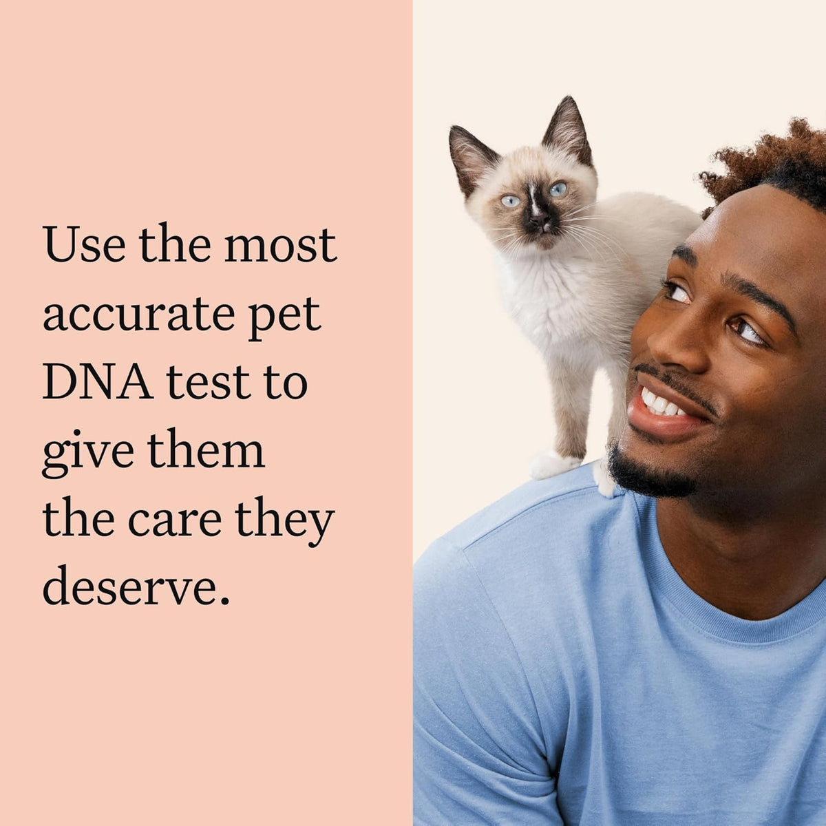 Wisdom Panel Complete: Comprehensive Cat DNA Test kit