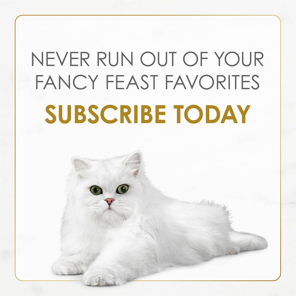 Purina Fancy Feast Grilled Wet Cat Food
