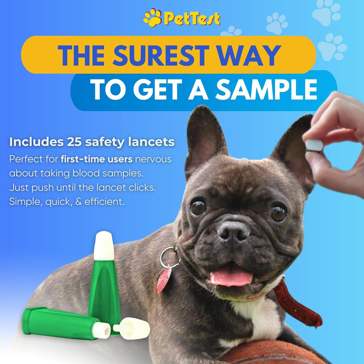 PetTest Beginner Glucose Monitoring Kit