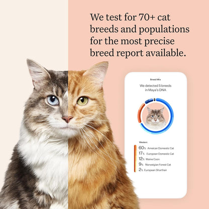 Wisdom Panel Complete: Comprehensive Cat DNA Test kit