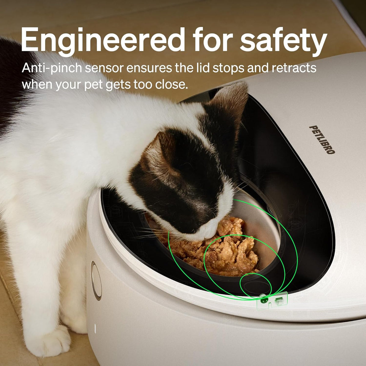 PETLIBRO Automatic Wet Cat Feeder