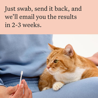 Wisdom Panel Complete: Comprehensive Cat DNA Test kit